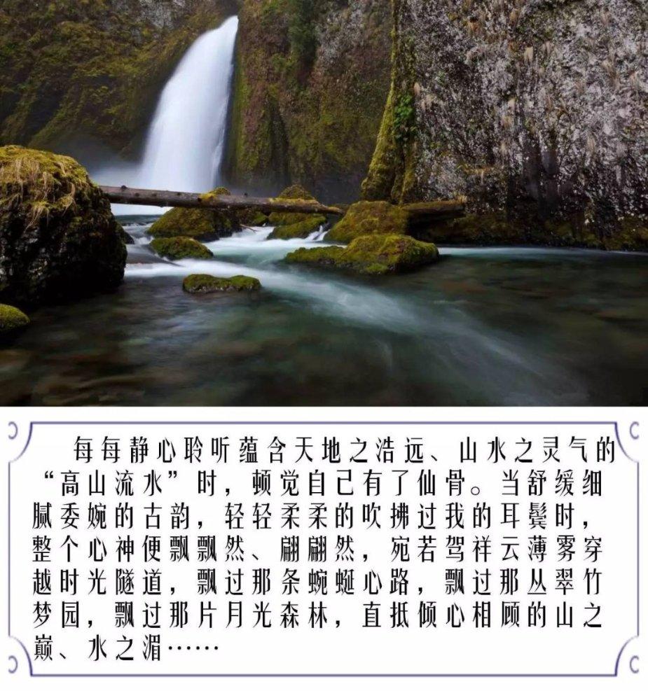 春雨直播app